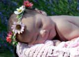 Newborn 3